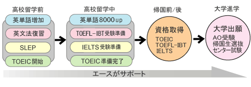 高校生-留学準備マップ