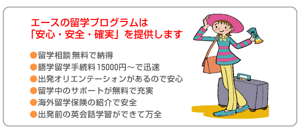 エース留学案内