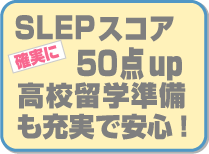 slep_copy